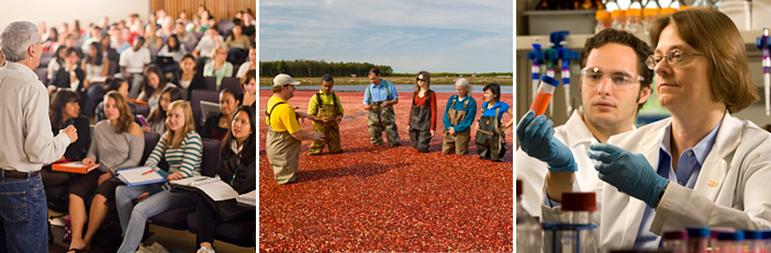 students in the class room and a cranberry bog